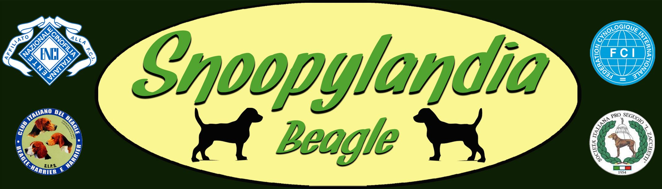 Snoopylandia - Allevamento amatoriale di cani Beagle riconosciuto ENCI e FCI - Logo